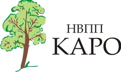 Logotip KARO C 17.06.13